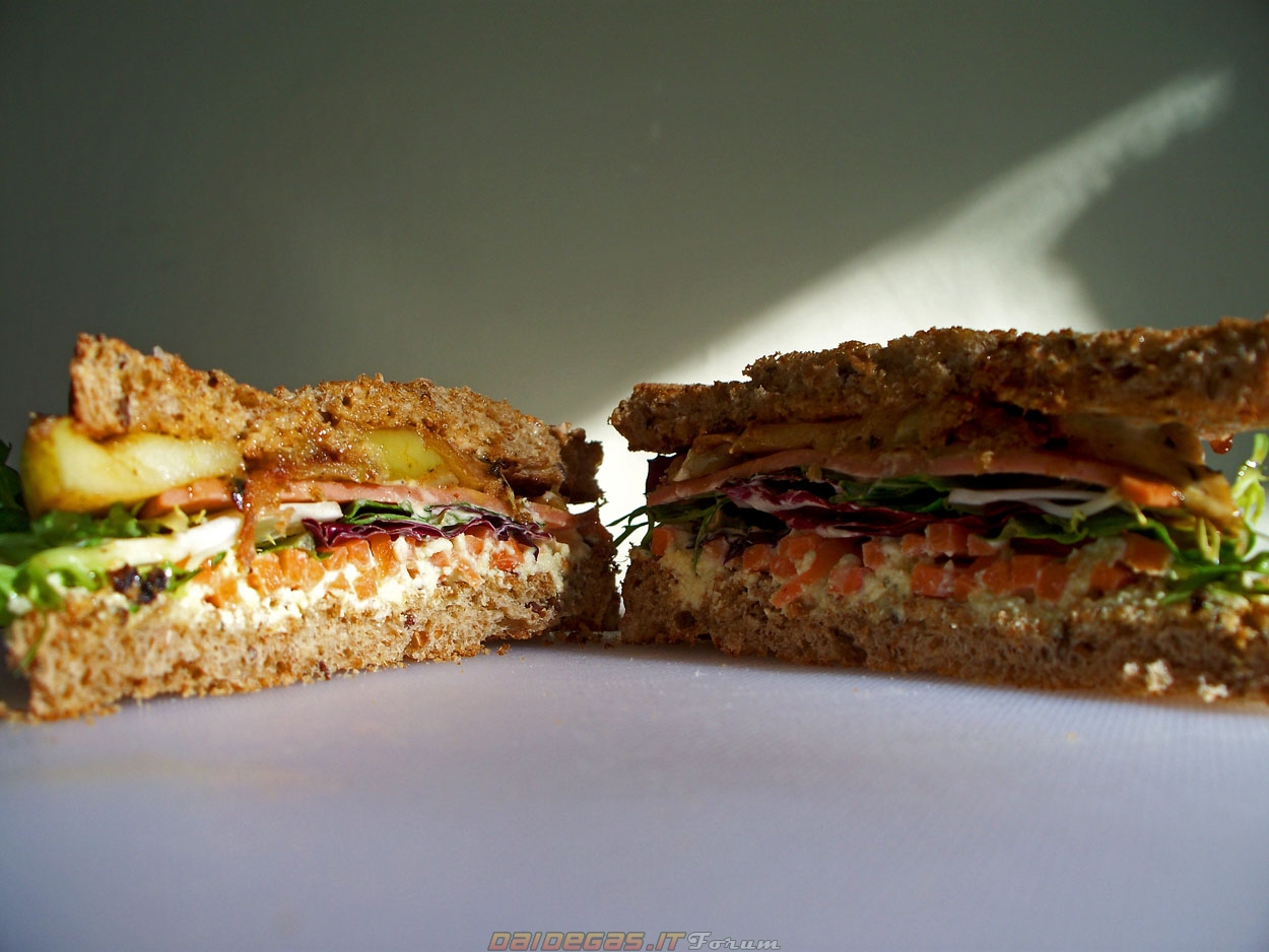 Forge fitness sandwich ma